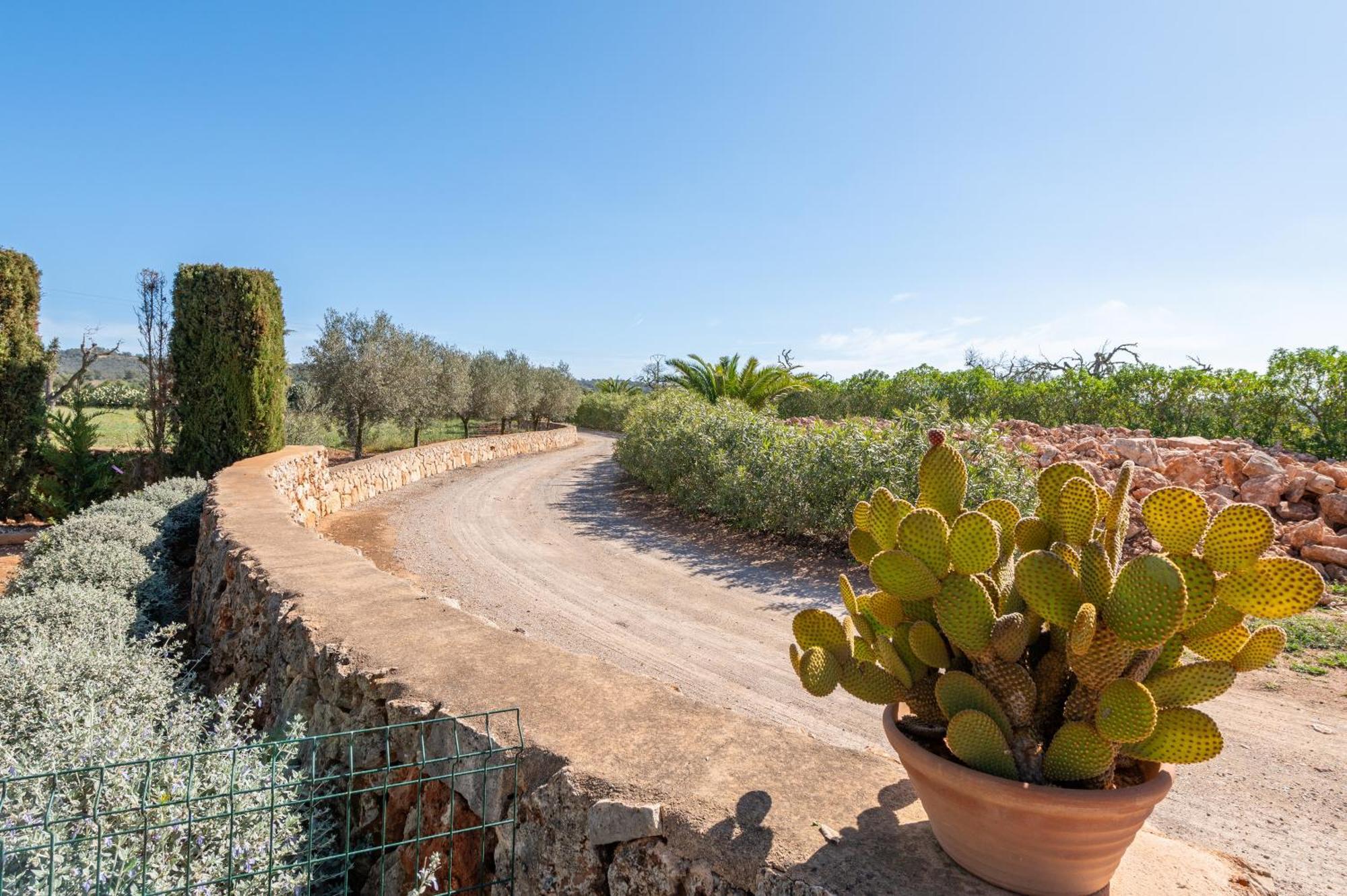 Ses Oliveres Campos  Bagian luar foto